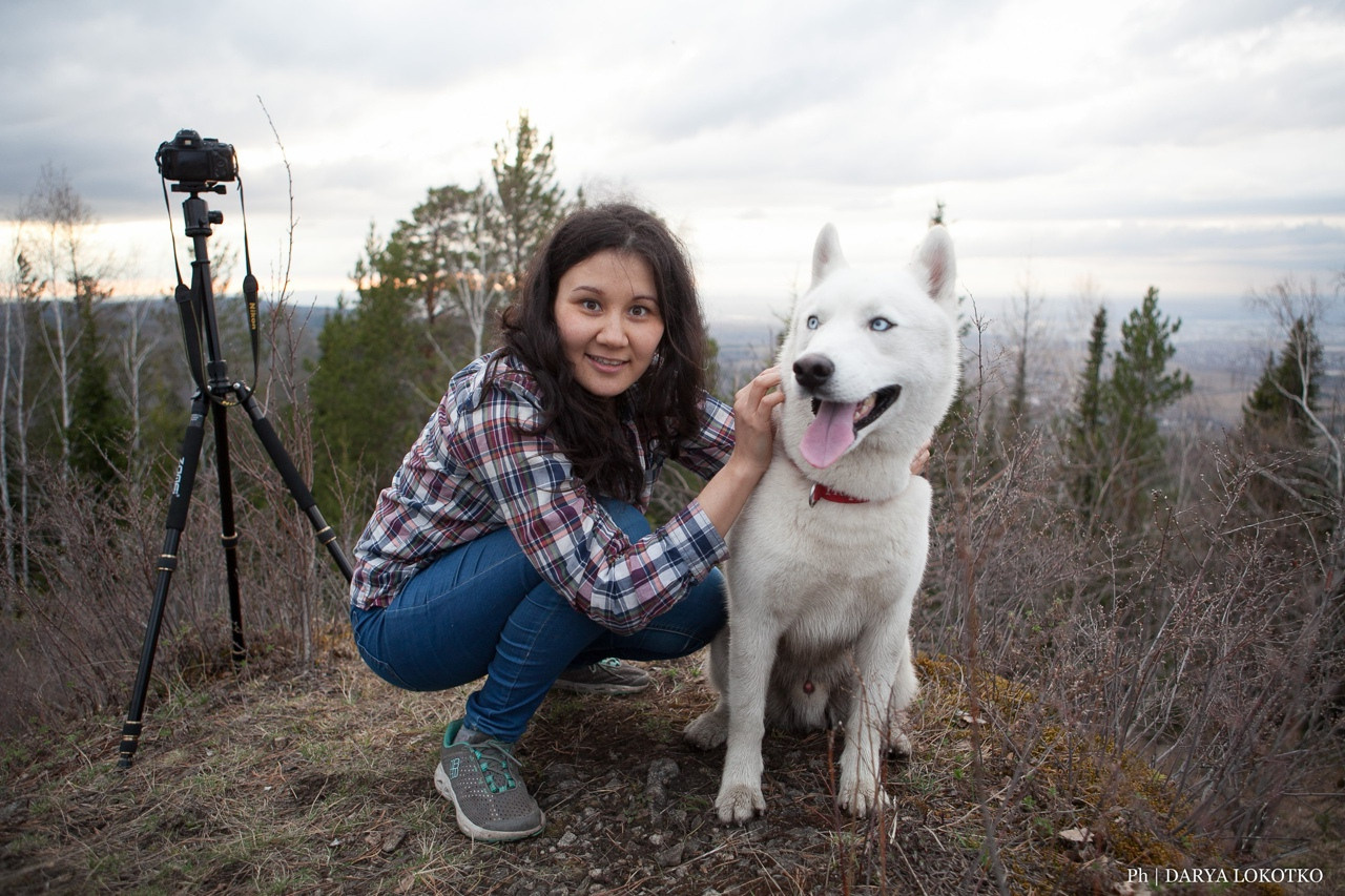 белая хаски и красивая девушка природа