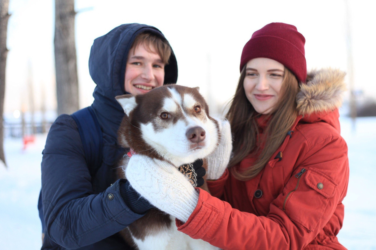хаски зима девушка парень  лав стори