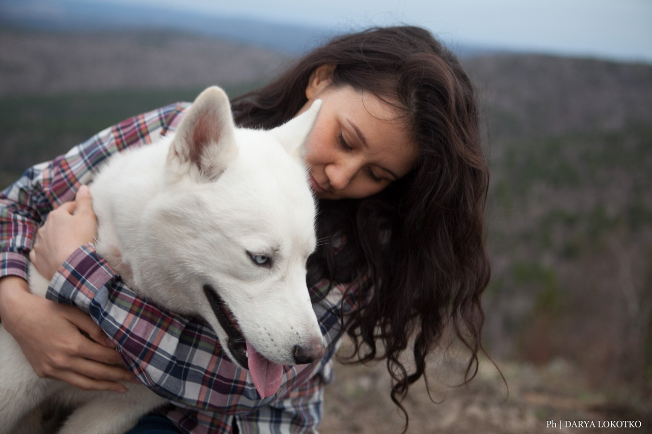 белая хаски и красивая девушка природа