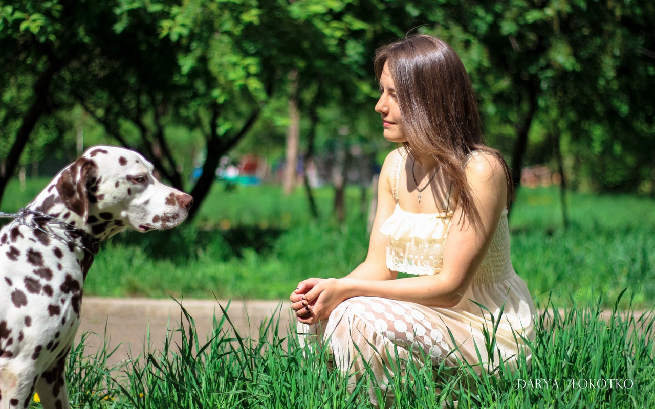 Далматин (Далматинец)  девушка зеленая трава природа