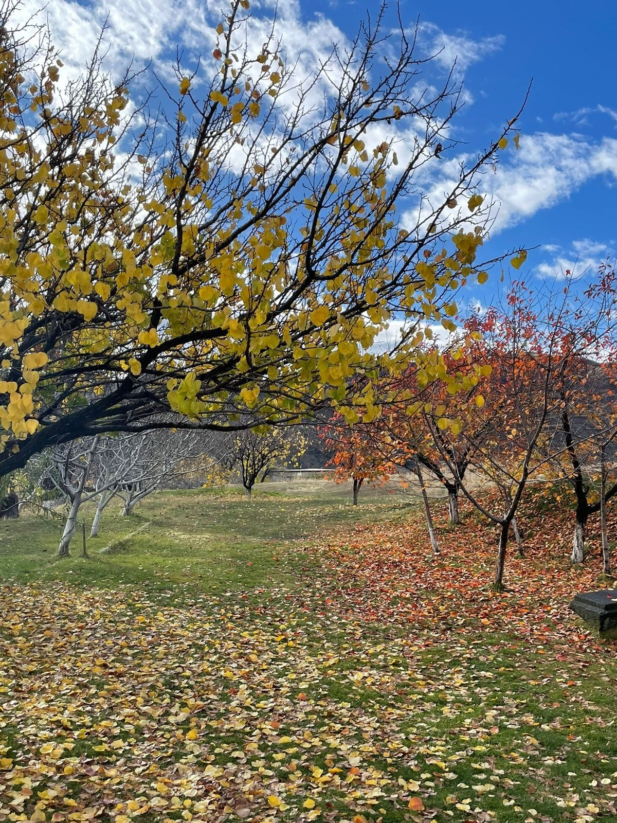 Армения | 16-19.11.2023. Галерея Фантим