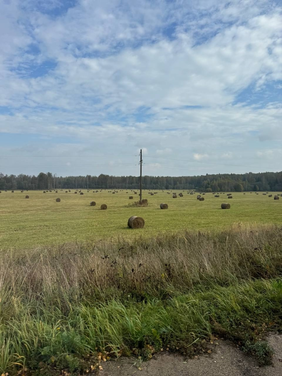 Вязьма. Экскурсионная поездка | 28.09.2024. Галерея Фантим