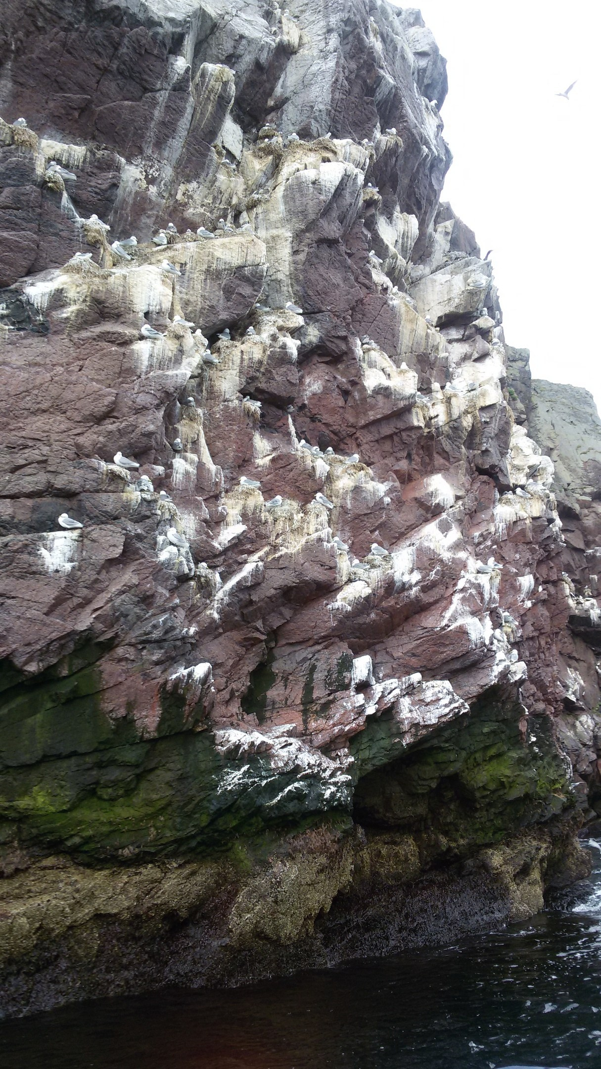 Мурманск | 22-23.06.2019. Галерея Фантим