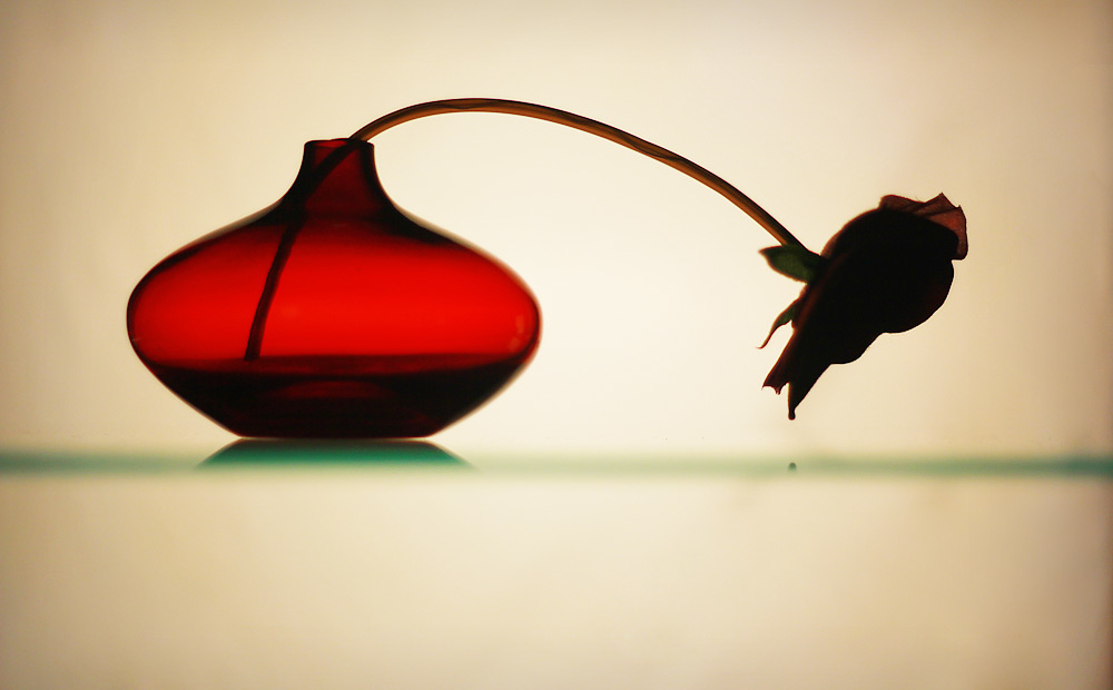 Работы студентов. Начальный уровень (1 и 2 ступень) . "Основы фото-мастерства". Максим Матвийченко и Виктория Басова профессионалы своего дела