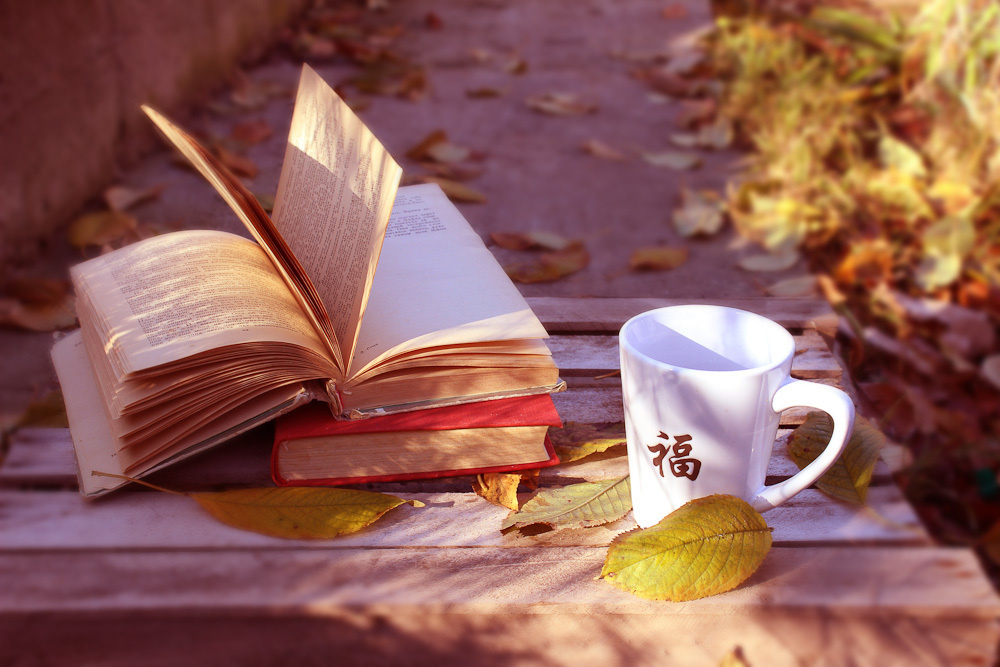 Работы студентов. Начальный уровень (1 и 2 ступень) . "Основы фото-мастерства". Максим Матвийченко и Виктория Басова профессионалы своего дела