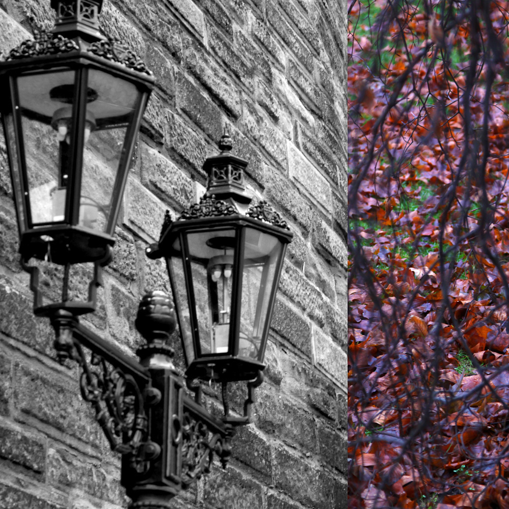 Работы студентов. Продвинутый уровень (1 и 2 ступень) . Интенсив "Художественно…. Максим Матвийченко и Виктория Басова профессионалы своего дела