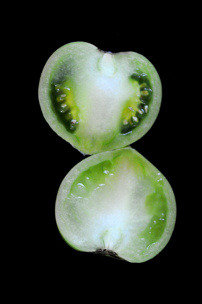 Работы студентов. Начальный уровень (1 и 2 ступень) . "Основы фото-мастерства". Максим Матвийченко и Виктория Басова профессионалы своего дела