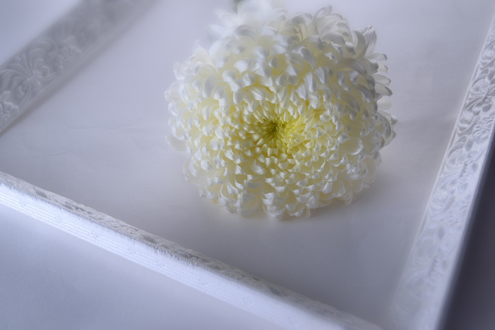 Работы студентов. Начальный уровень (1 и 2 ступень) . "Основы фото-мастерства". Максим Матвийченко и Виктория Басова профессионалы своего дела