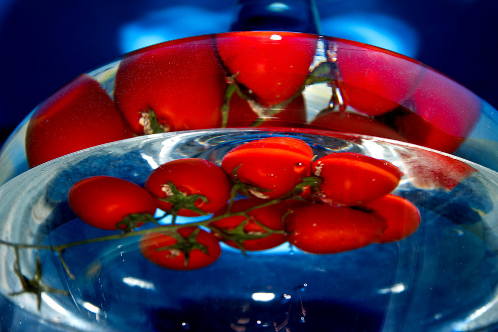 Работы студентов. Начальный уровень (1 и 2 ступень) . "Основы фото-мастерства". Максим Матвийченко и Виктория Басова профессионалы своего дела