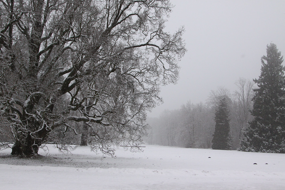 Работы студентов. Продвинутый уровень (1 и 2 ступень) . Интенсив "Художественно…. Максим Матвийченко и Виктория Басова профессионалы своего дела