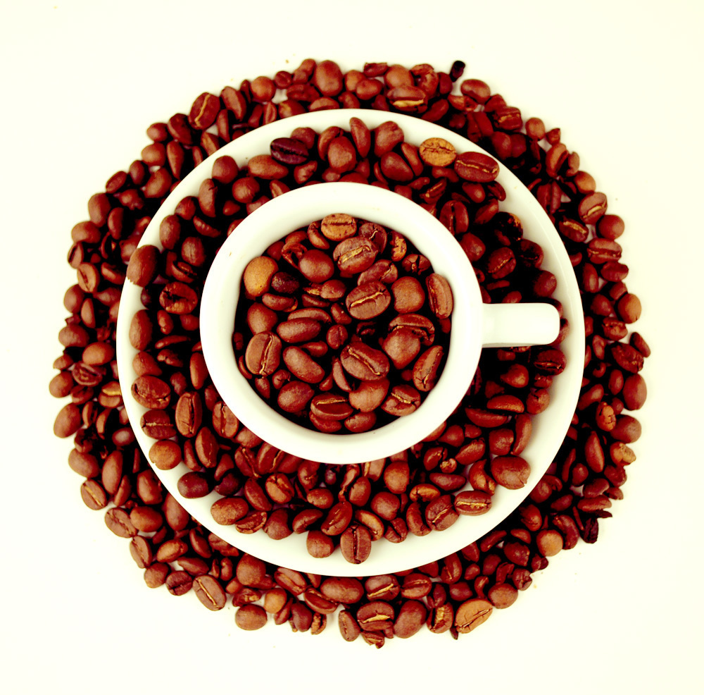 Работы студентов. Начальный уровень (1 и 2 ступень) . "Основы фото-мастерства". Максим Матвийченко и Виктория Басова профессионалы своего дела