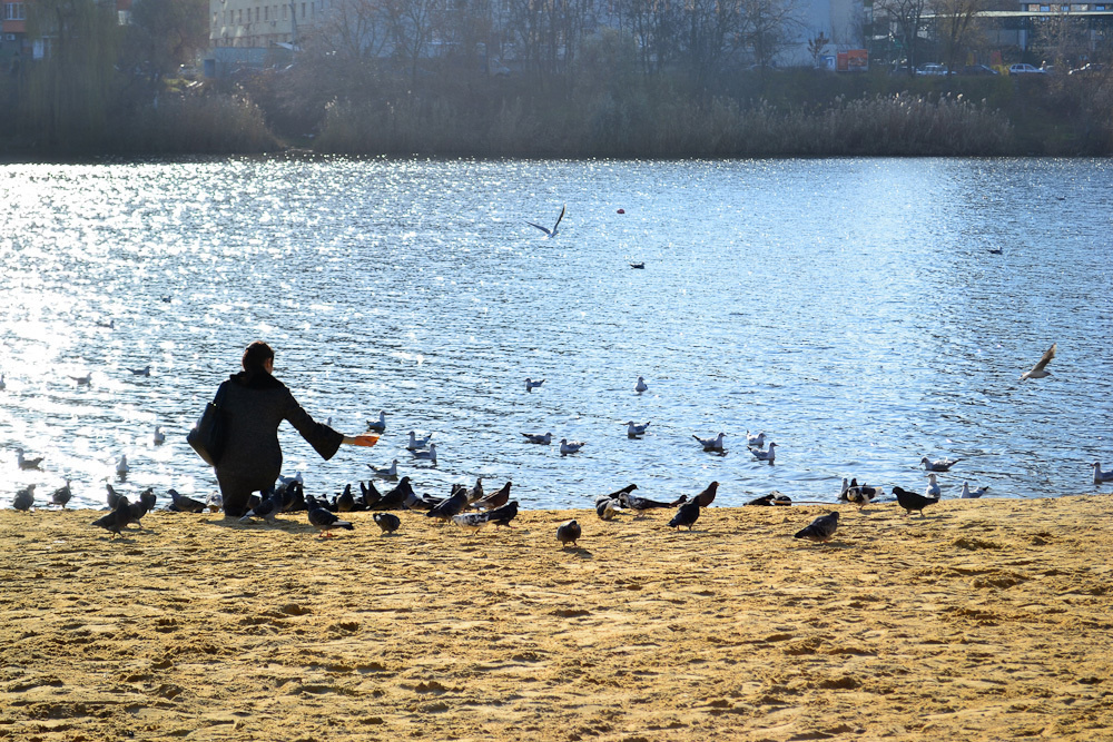 Работы студентов. Начальный уровень (1 и 2 ступень) . "Основы фото-мастерства". Максим Матвийченко и Виктория Басова профессионалы своего дела