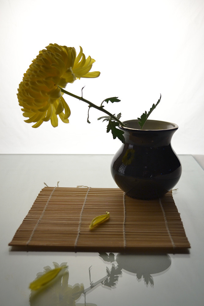 Работы студентов. Начальный уровень (1 и 2 ступень) . "Основы фото-мастерства". Максим Матвийченко и Виктория Басова профессионалы своего дела