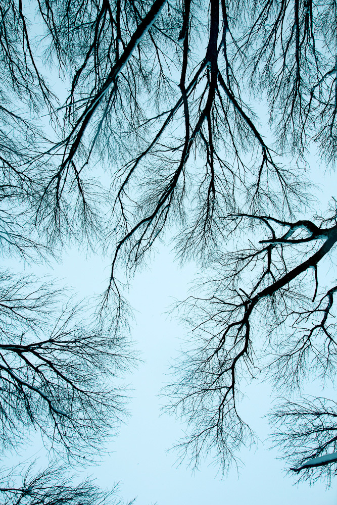 Работы студентов. Начальный уровень (1 и 2 ступень) . "Основы фото-мастерства". Максим Матвийченко и Виктория Басова профессионалы своего дела