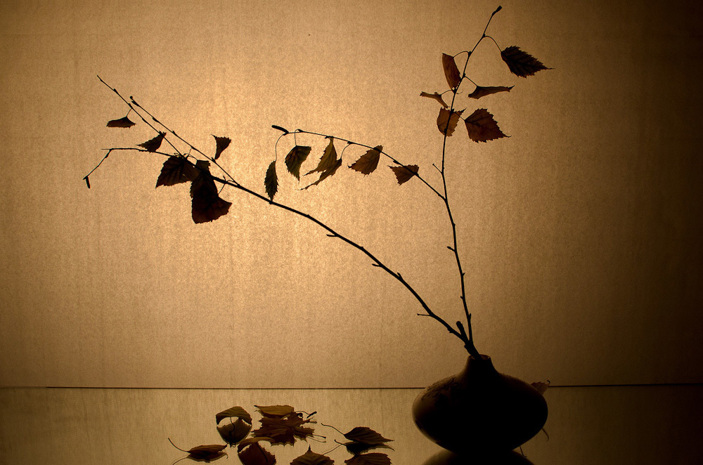 Работы студентов. Начальный уровень (1 и 2 ступень) . "Основы фото-мастерства". Максим Матвийченко и Виктория Басова профессионалы своего дела