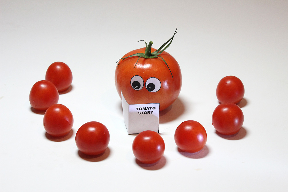 Работы студентов. Начальный уровень (1 и 2 ступень) . "Основы фото-мастерства". Максим Матвийченко и Виктория Басова профессионалы своего дела