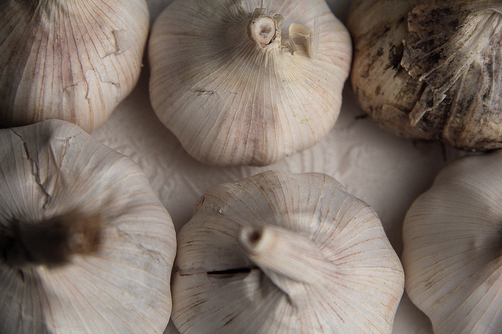 Работы студентов. Начальный уровень (1 и 2 ступень) . "Основы фото-мастерства". Максим Матвийченко и Виктория Басова профессионалы своего дела