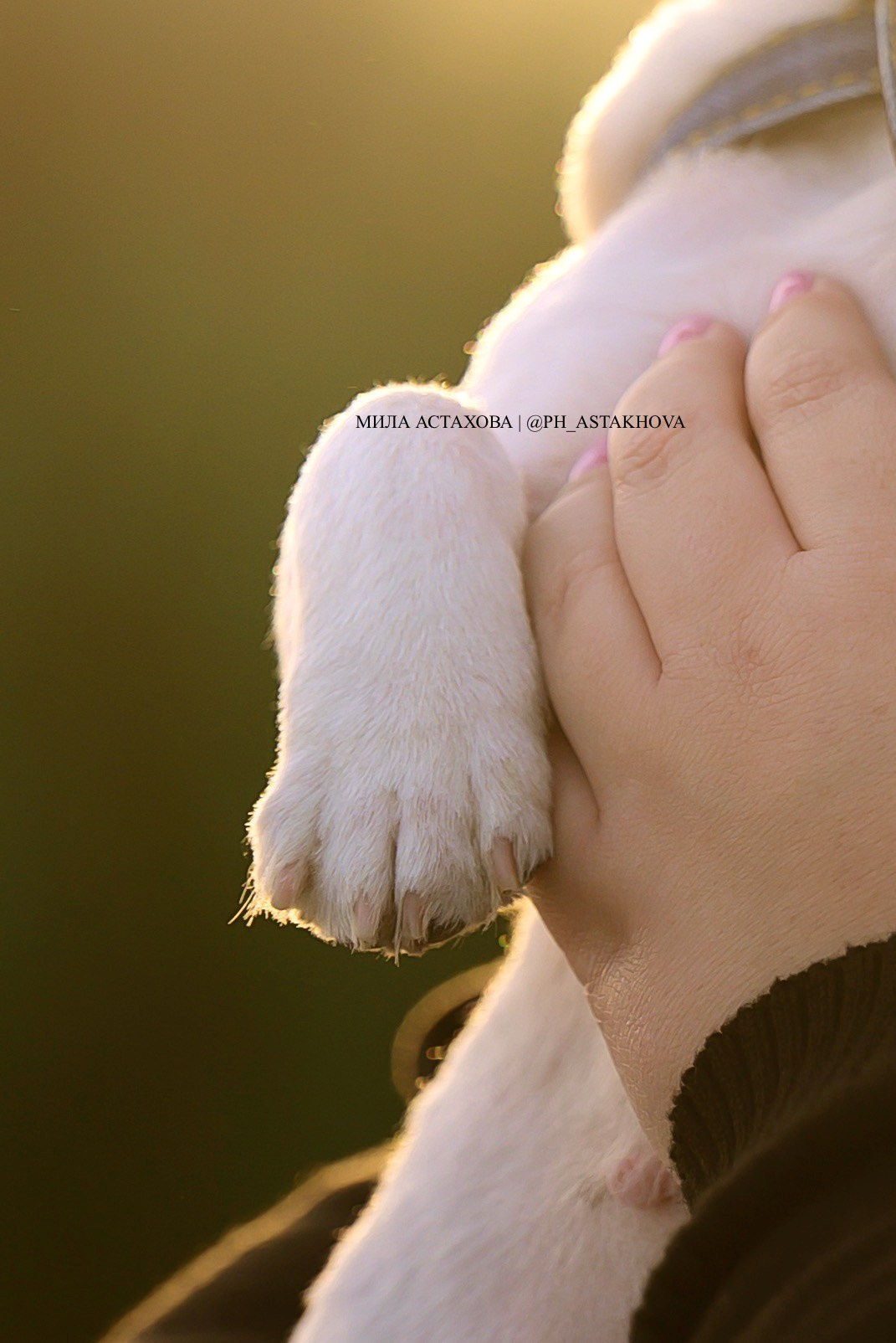 Людвиг, Адель и Татьяна. Мила Астахова