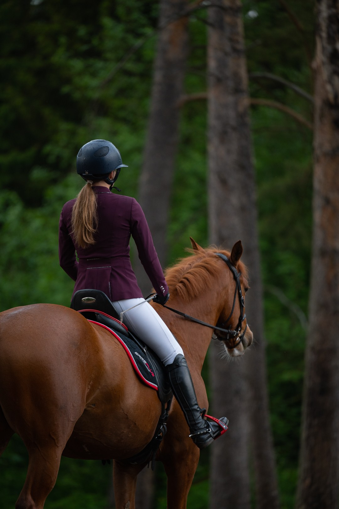 Конюшня. Мир живой фотографии о Вас и для Вас