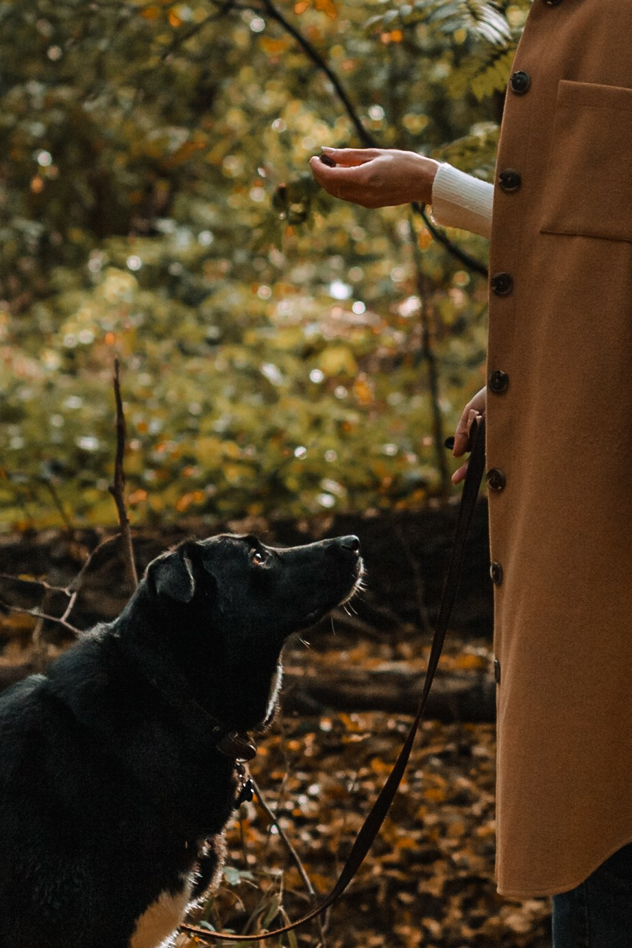 Юля и Фортуна. Фотограф-анималист Татьяна Степанова