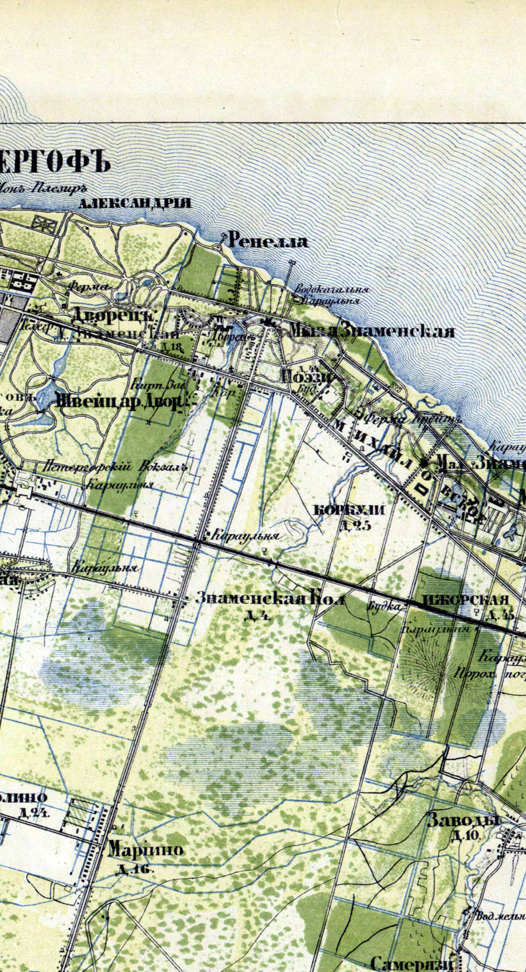 Дорога на Петергоф. Екатерина Васильева художник, куратор и преподаватель