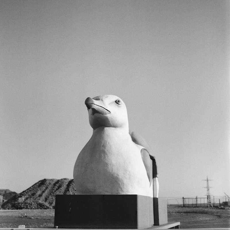 40 дней приливов и отливов. Екатерина Васильева художник, куратор и преподаватель