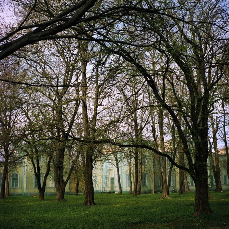 Дорога на Петергоф. Екатерина Васильева художник, куратор и преподаватель