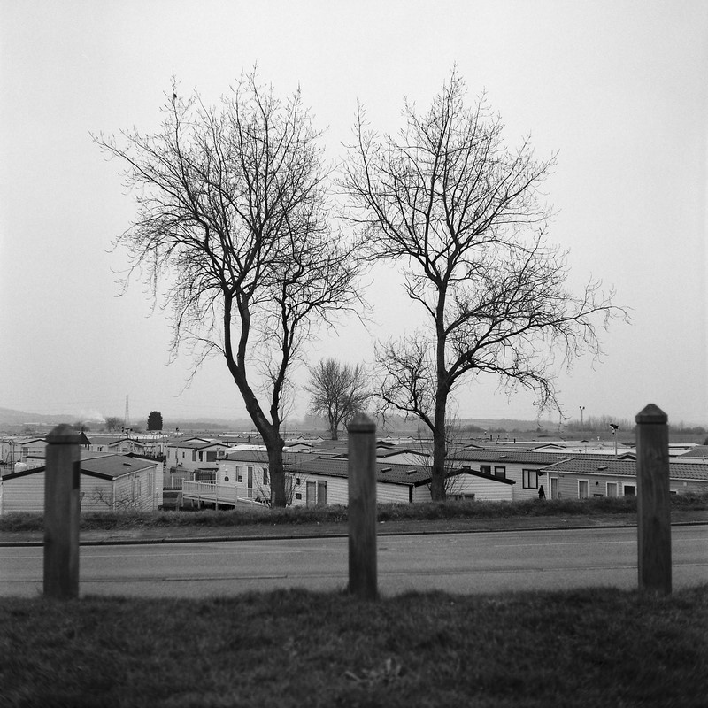 40 дней приливов и отливов. Екатерина Васильева художник, куратор и преподаватель