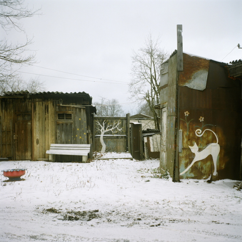 Дорога на Петергоф. Екатерина Васильева художник, куратор и преподаватель