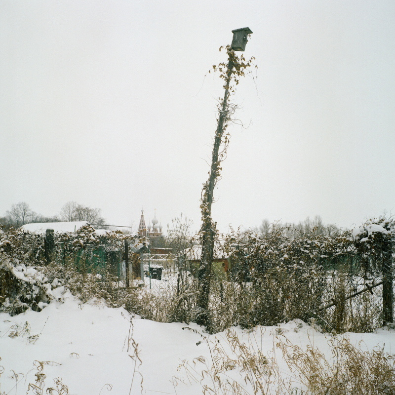 Дорога на Петергоф. Екатерина Васильева художник, куратор и преподаватель
