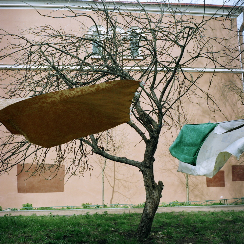 Дорога на Петергоф. Екатерина Васильева художник, куратор и преподаватель