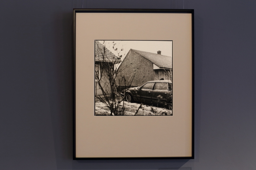 40 дней приливов и отливов. Екатерина Васильева художник, куратор и преподаватель