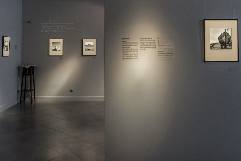 40 дней приливов и отливов. Екатерина Васильева художник, куратор и преподаватель