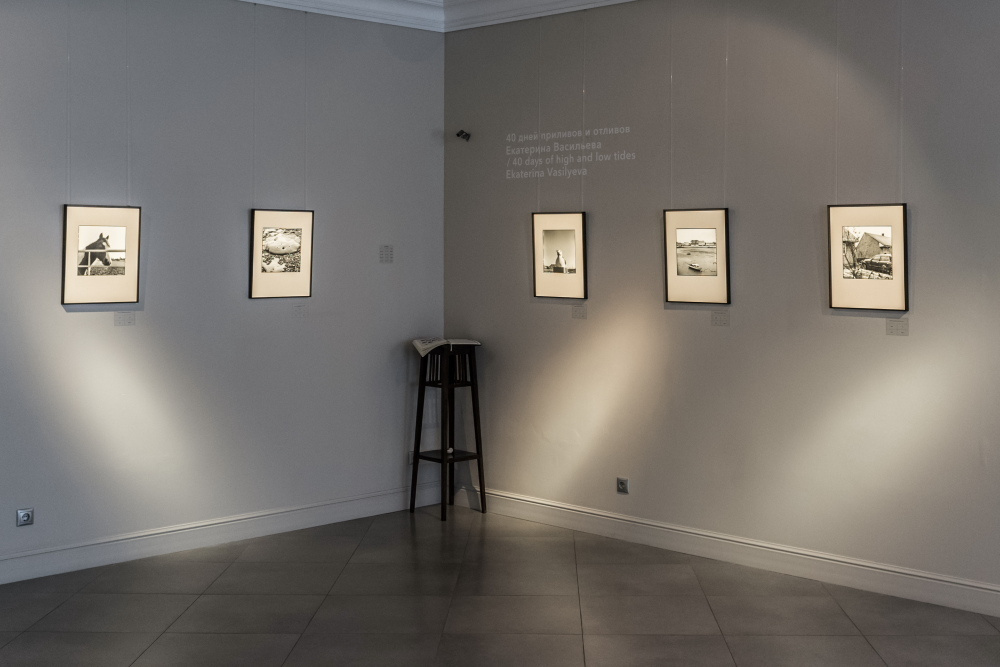 40 дней приливов и отливов. Екатерина Васильева художник, куратор и преподаватель