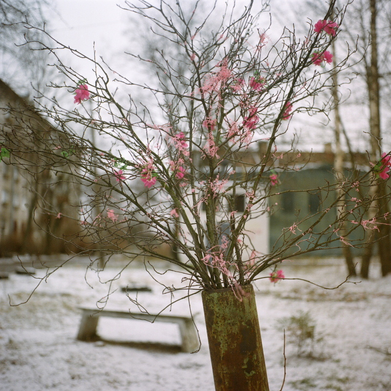 Дорога на Петергоф. Екатерина Васильева художник, куратор и преподаватель