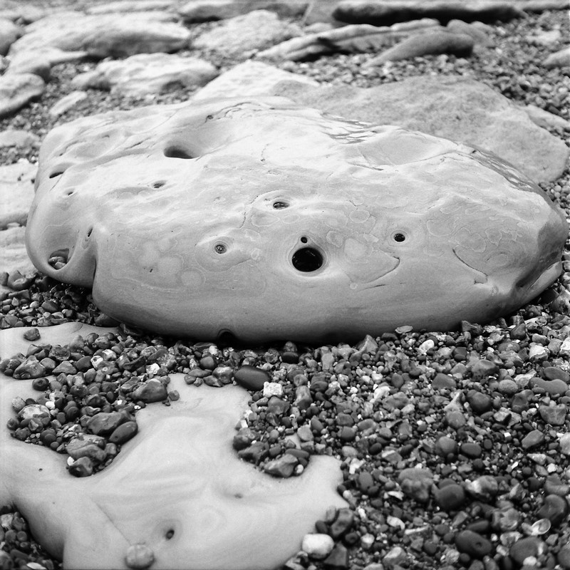 40 дней приливов и отливов. Екатерина Васильева художник, куратор и преподаватель