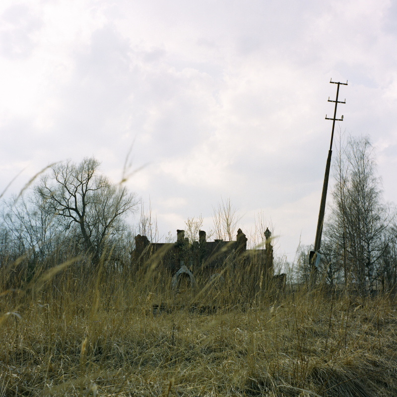 Дорога на Петергоф. Екатерина Васильева художник, куратор и преподаватель