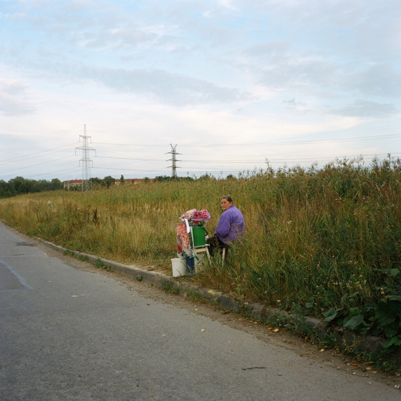 Дорога на Петергоф. Екатерина Васильева художник, куратор и преподаватель