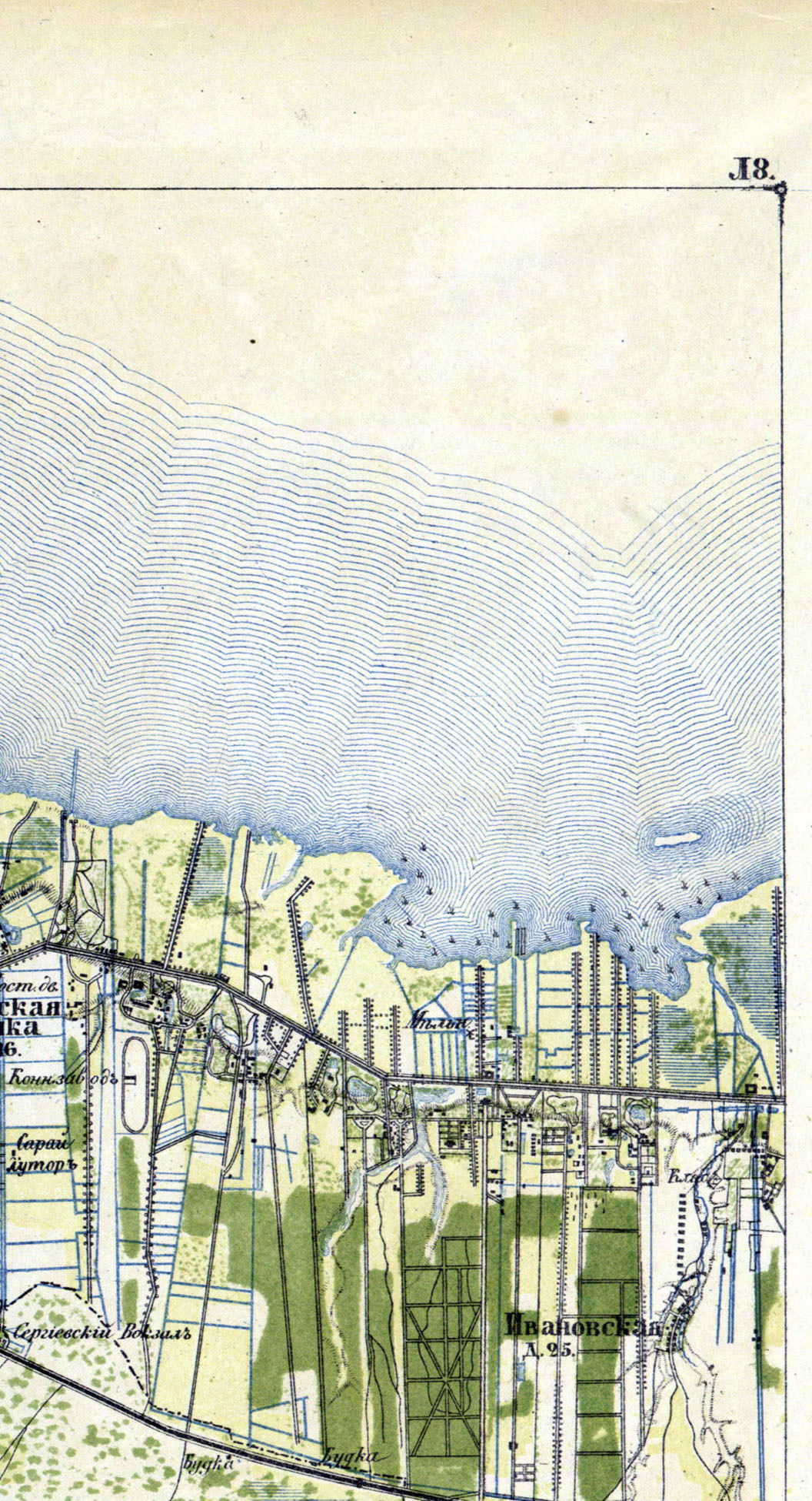 Дорога на Петергоф. Екатерина Васильева художник, куратор и преподаватель