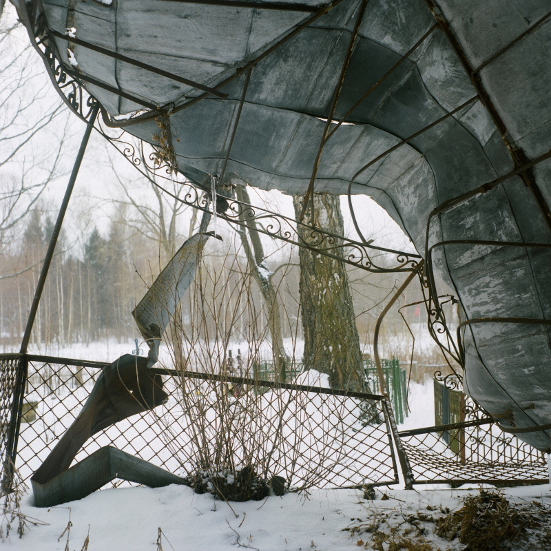 Дорога на Петергоф. Екатерина Васильева художник, куратор и преподаватель