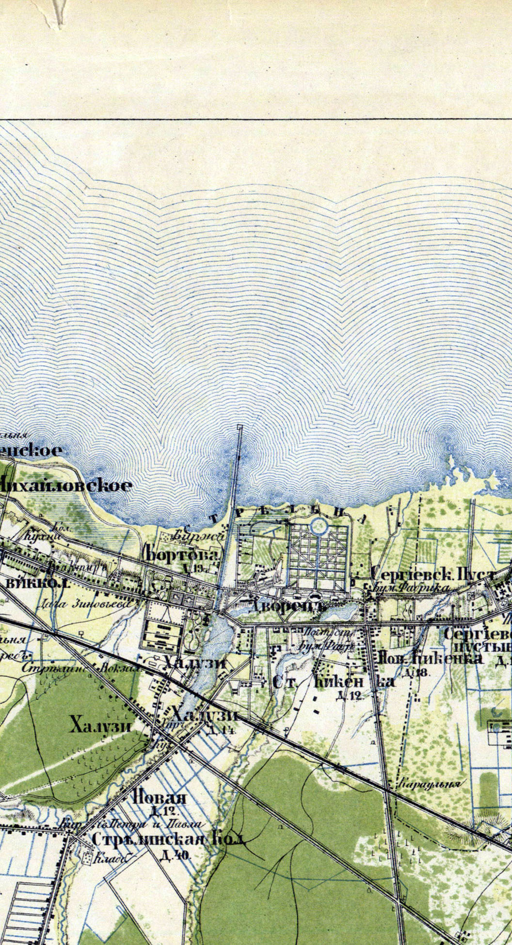 Дорога на Петергоф. Екатерина Васильева художник, куратор и преподаватель