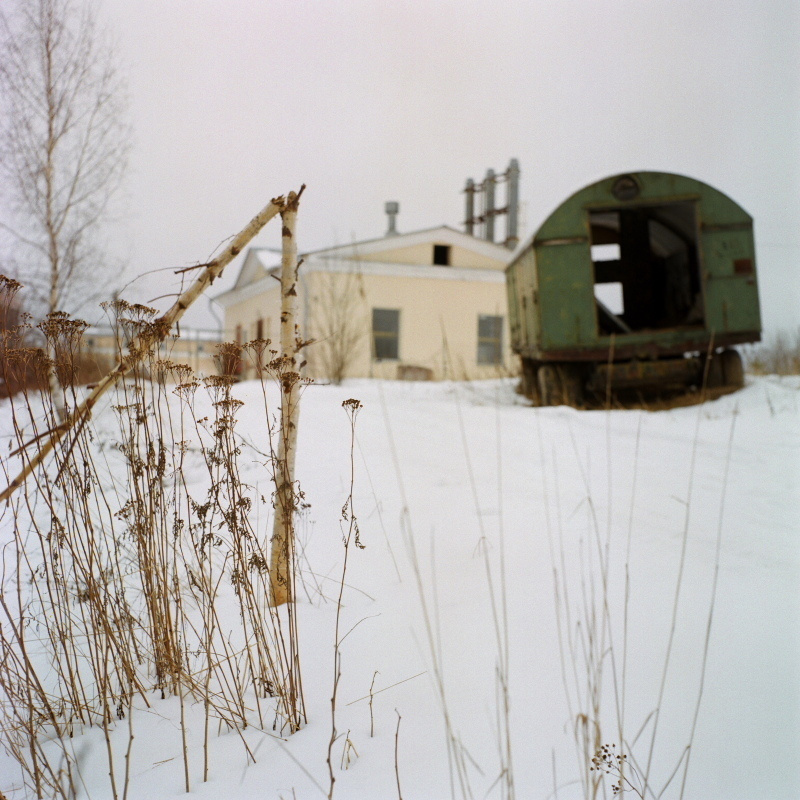 Дорога на Петергоф. Екатерина Васильева художник, куратор и преподаватель