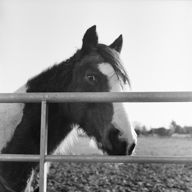 40 дней приливов и отливов. Екатерина Васильева художник, куратор и преподаватель