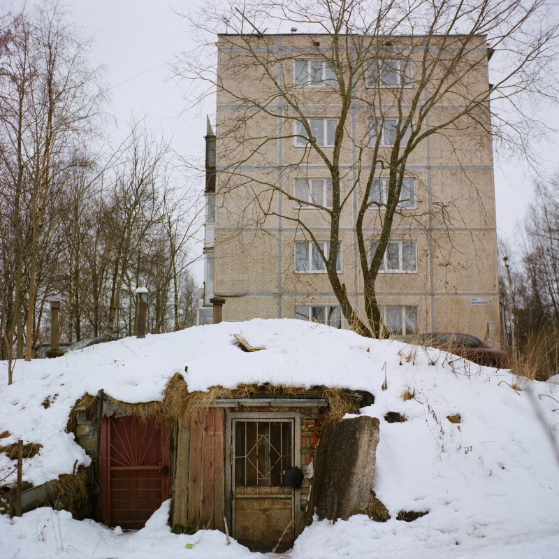 Дорога на Петергоф. Екатерина Васильева художник, куратор и преподаватель