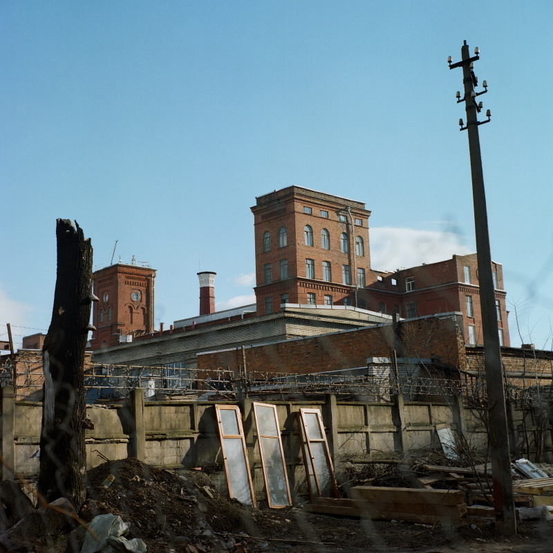 Дорога на Петергоф. Екатерина Васильева художник, куратор и преподаватель