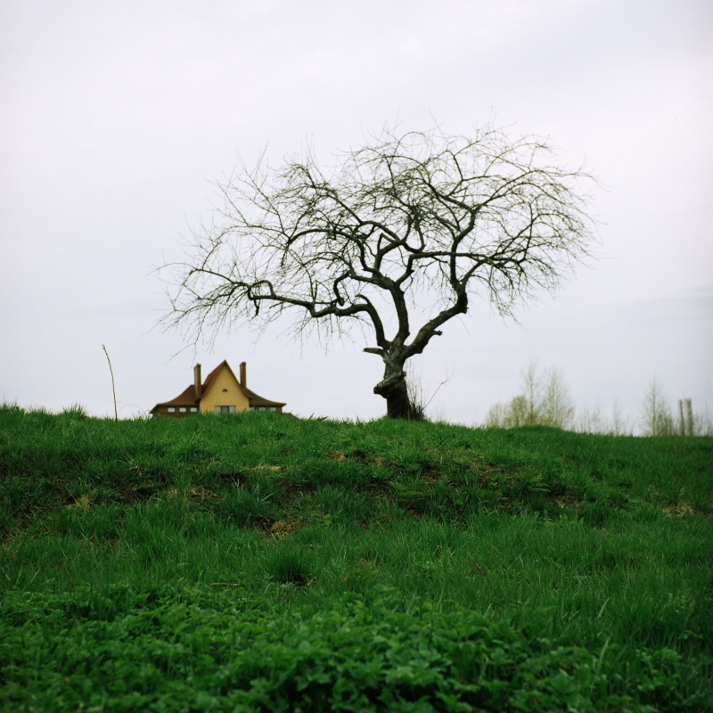 Дорога на Петергоф. Екатерина Васильева художник, куратор и преподаватель