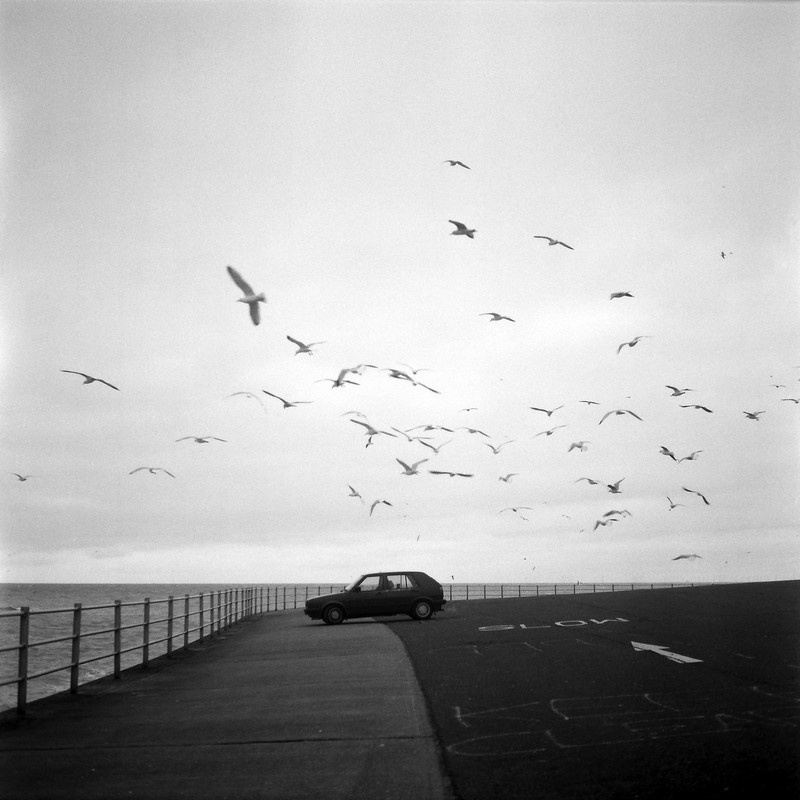 40 дней приливов и отливов. Екатерина Васильева художник, куратор и преподаватель