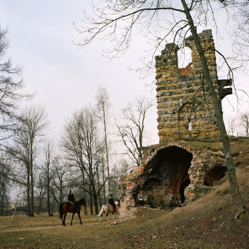 Дорога на Петергоф. Екатерина Васильева художник, куратор и преподаватель