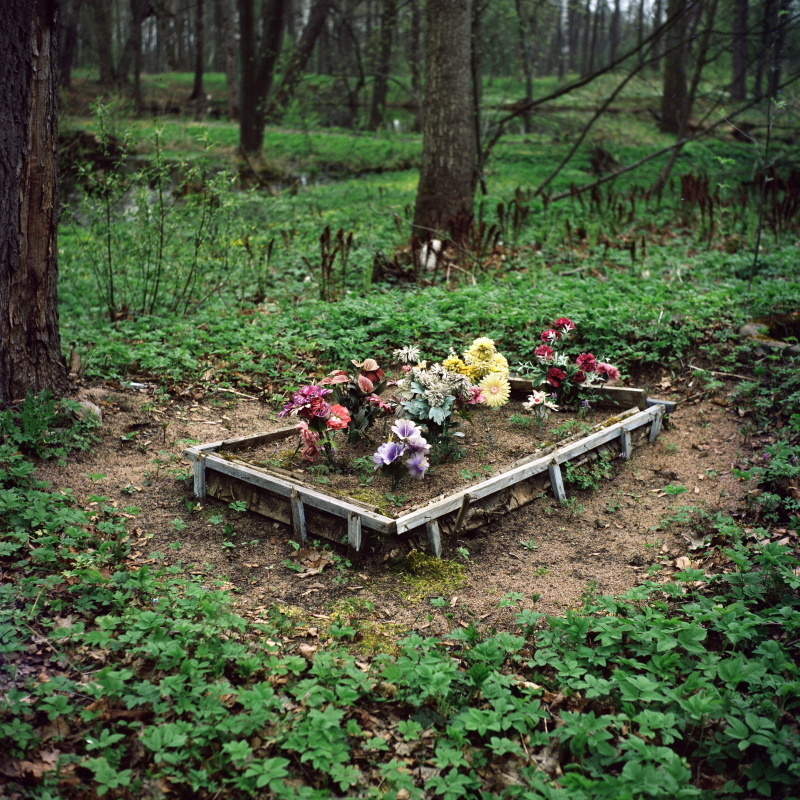 Дорога на Петергоф. Екатерина Васильева художник, куратор и преподаватель