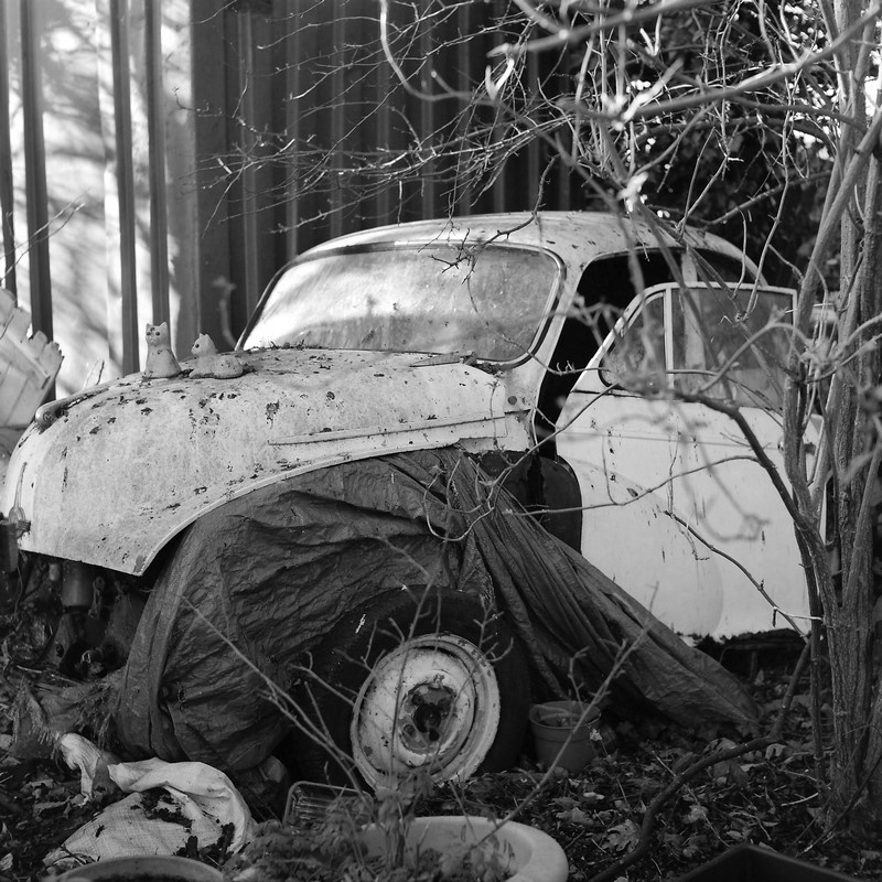 40 дней приливов и отливов. Екатерина Васильева художник, куратор и преподаватель